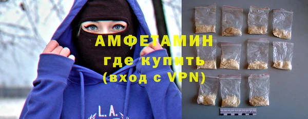 сатива Верея