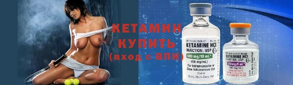 сатива Верея