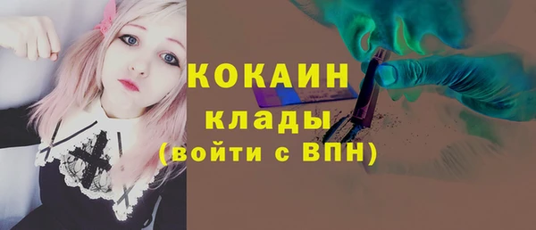 сатива Верея