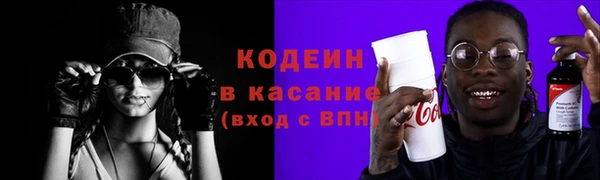 сатива Верея