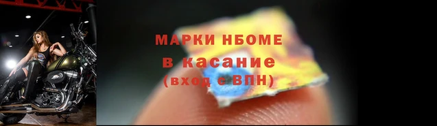 сатива Верея