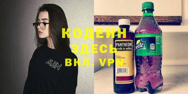 сатива Верея