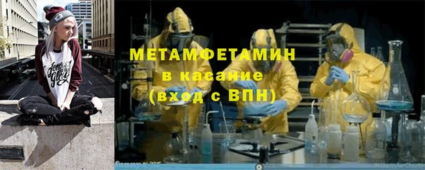 сатива Верея