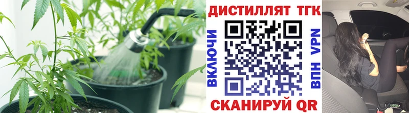 Купить  Ладушкин  Дистиллят ТГК концентрат 
