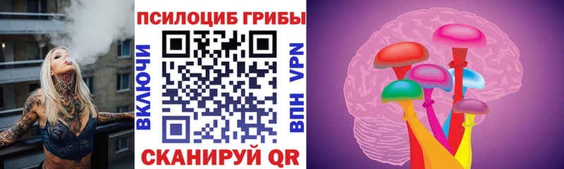 Купить где  Ладушкин  Псилоцибиновые грибы Psilocybe 